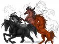 Horses.jpg